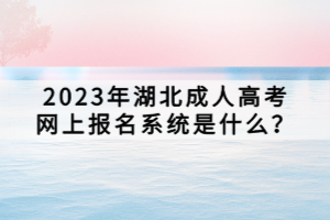 2023年湖北成人高考網(wǎng)上報名系統(tǒng)是什么？