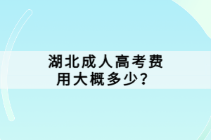 湖北成人高考費用大概多少？