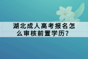 湖北成人高考報(bào)名怎么審核前置學(xué)歷？