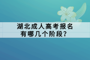 湖北成人高考報(bào)名有哪幾個(gè)階段？