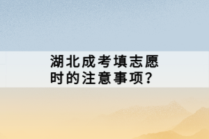 湖北成考填志愿時的注意事項？