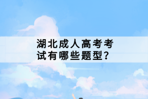 湖北成人高考考試有哪些題型？