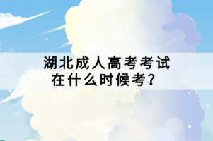 湖北成人高考考試在什么時(shí)候考？