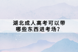 湖北成人高考可以帶哪些東西進考場？