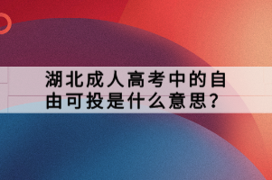 湖北成人高考中的自由可投是什么意思？