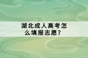 湖北成人高考怎么填報志愿？