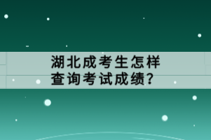 湖北成考生怎樣查詢考試成績？