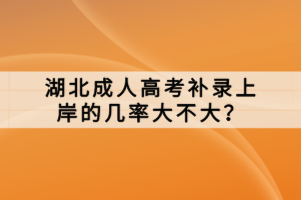 湖北成人高考補錄上岸的幾率大不大？