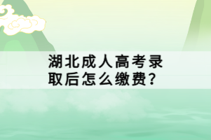 湖北成人高考錄取后怎么繳費(fèi)？