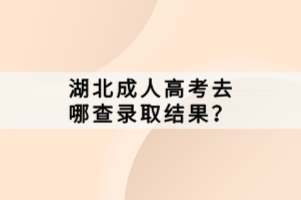 湖北成人高考去哪查錄取結(jié)果？