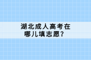 湖北成人高考在哪兒填志愿？