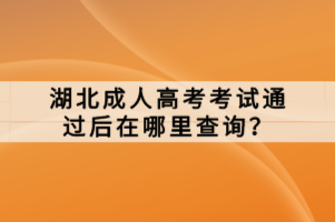 湖北成人高考考試通過后在哪里查詢？