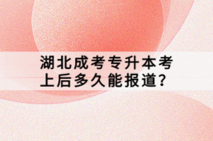 湖北成考專升本考上后多久能報道？