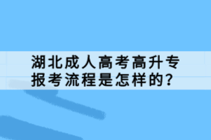 湖北成人高考高升專報(bào)考流程是怎樣的？