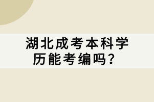 湖北成考本科學歷能考編嗎？