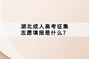 湖北成人高考征集志愿填報(bào)是什么？