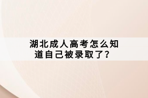 湖北成人高考怎么知道自己被錄取了？