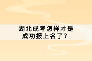 湖北成考怎樣才是成功報上名了？