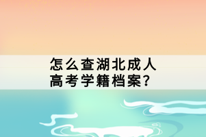 怎么查湖北成人高考學(xué)籍檔案？