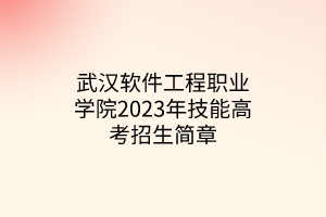 武漢軟件工程職業(yè)學(xué)院2023年技能高考招生簡(jiǎn)章