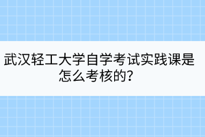 武漢輕工大學自學考試實踐課是怎么考核的？