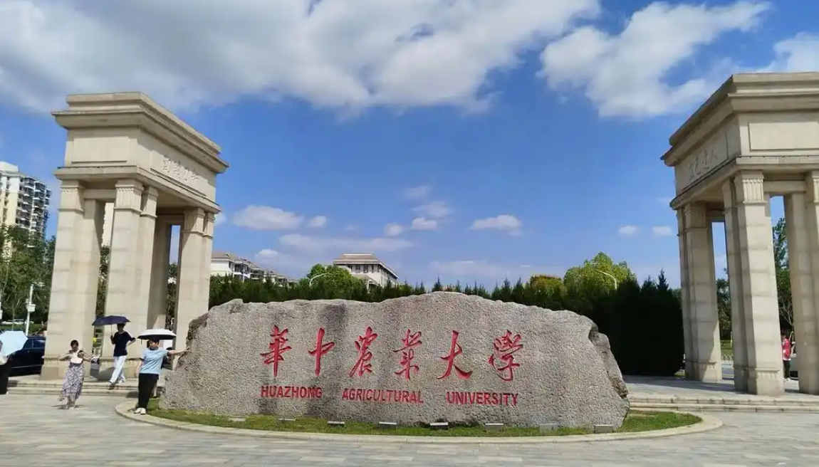 企業(yè)微信截圖_20250617105334