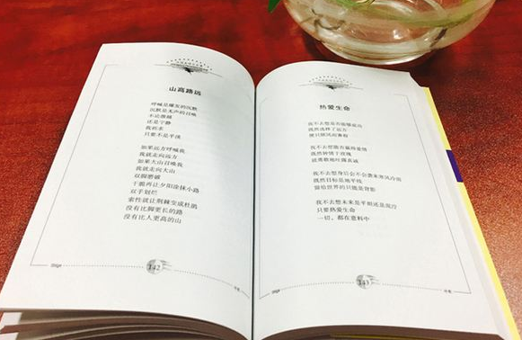 2020年成人高考專(zhuān)升本大學(xué)語(yǔ)文練習(xí)題及答案6