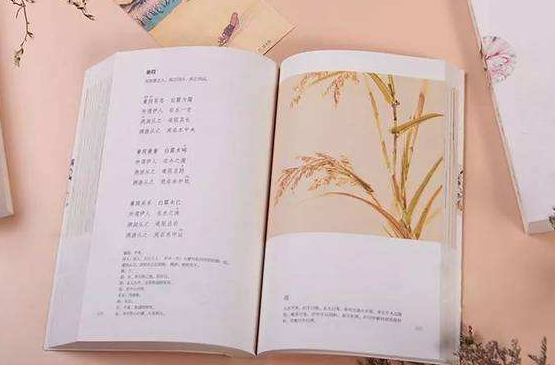 參加湖北成人高考拿到的畢業(yè)證書是成教還是統(tǒng)招？