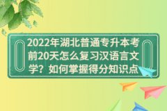 2022年湖北普通專升本考前20天怎么復(fù)習(xí)漢語(yǔ)言文學(xué)？如何掌握得分知識(shí)點(diǎn)