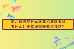 湖北普通專升本計(jì)算機(jī)基礎(chǔ)考試考什么？要掌握哪些知識(shí)技巧？