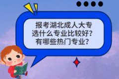 報(bào)考湖北成人大專選什么專業(yè)比較好？有哪些熱門(mén)專業(yè)？