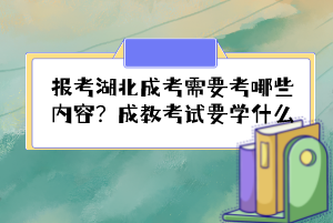 報考湖北成考需要考哪些內(nèi)容？成教考試要學什么？