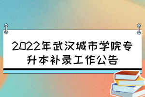 2022年武漢城市學(xué)院專升本補(bǔ)錄工作公告