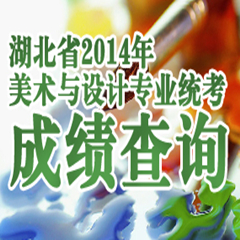 2014年湖北美術統(tǒng)考成績查詢