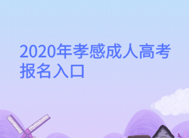 2020年孝感成人高考報(bào)名入口