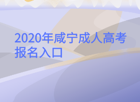 2020年咸寧成人高考報名入口