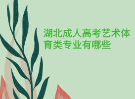 湖北成人高考藝術(shù)體育類(lèi)專(zhuān)業(yè)有哪些?