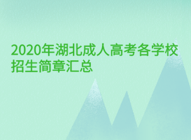 2020年湖北成人高考各學(xué)校招生簡章匯總