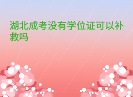 湖北成考沒有學(xué)位證可以補(bǔ)救嗎？