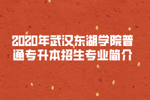 2020年武漢東湖學(xué)院普通專升本招生專業(yè)簡(jiǎn)介