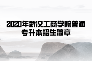 2020年武漢工商學(xué)院普通專升本招生簡(jiǎn)章