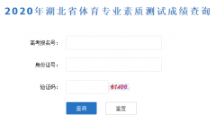 2020年湖北體育專業(yè)素質(zhì)測試成績查詢?nèi)肟诎l(fā)布說明