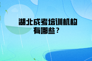 湖北成考培訓(xùn)機(jī)構(gòu)有哪些