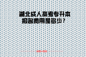 湖北成人高考專升本報(bào)名費(fèi)用是多少