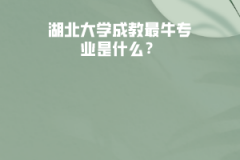 湖北大學(xué)成教最牛專業(yè)是什么？