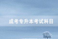 2020年武漢成人高考專升本考試科目有哪些？