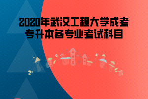 2020年武漢工程大學(xué)成考專升本各專業(yè)考試科目