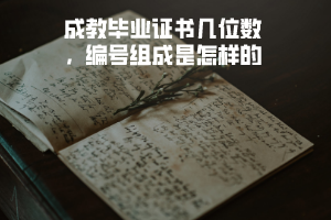 武漢理工大學(xué)成教畢業(yè)證書幾位數(shù)，編號組成是怎樣的