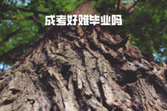 長(zhǎng)江大學(xué)成考好難畢業(yè)嗎