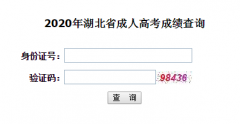 2020年武漢科技大學(xué)成人高考成績查詢時間及入口